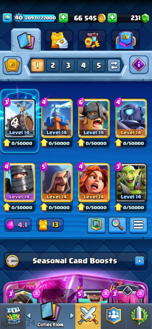 ROYALE LEVEL40 WITH 19MAXED CARD