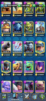 photo 2023 11 20 23 03 55